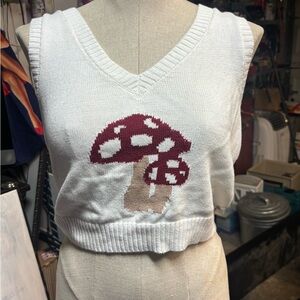 Hollister Cream Knit Sweater Vest